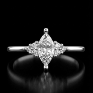 Gala Plata