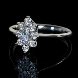 Lady Plata