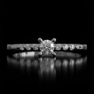 Elysia Plata